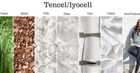  TENCEL™ - Tekstiilien Luonnollinen Uutuus ja Jätkän Ystävällinen Vaihtoehto!